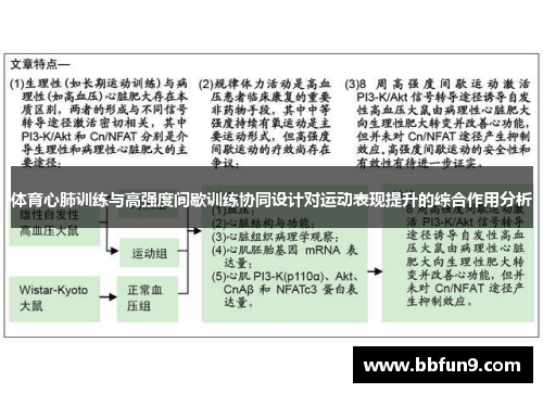 体育心肺训练与高强度间歇训练协同设计对运动表现提升的综合作用分析