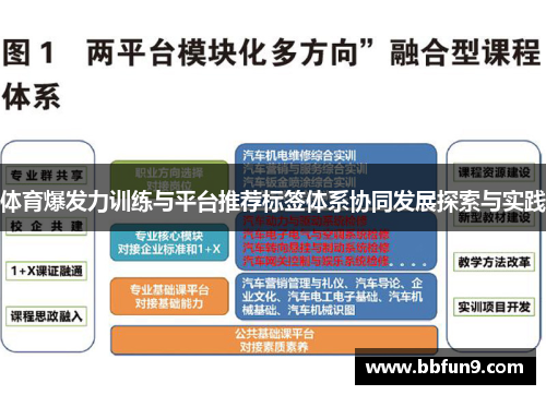 体育爆发力训练与平台推荐标签体系协同发展探索与实践